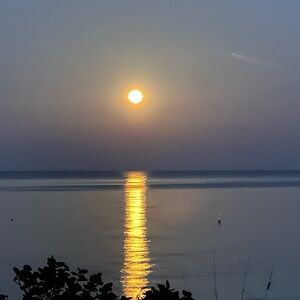 Meet your Posher, Ivan